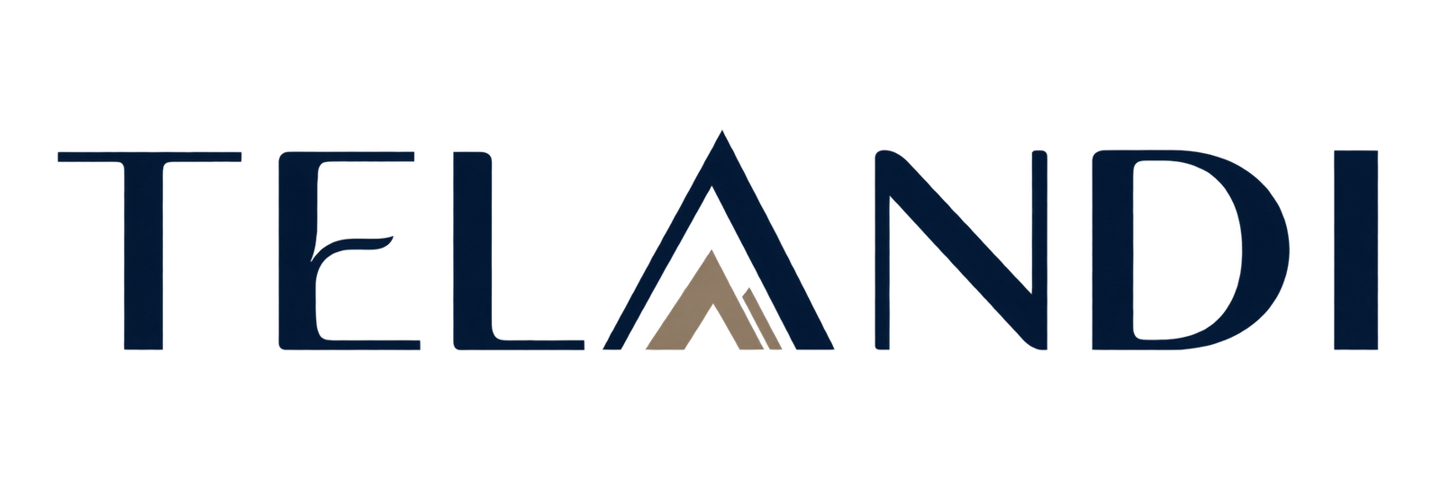 telandi.com